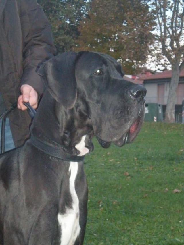 AmadeusFoto913 a 14 mesi 30.10.10_480x640.JPG