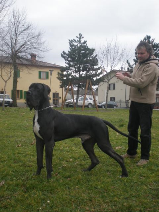 Amadeus e Luciano Foto 2213 a 18 mesi 17.02.11_480x640.JPG